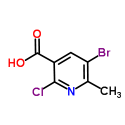 1256809-64-9 structure