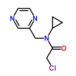 2-Chloro-N-cyclopropyl-N-(2-pyrazinylmethyl)acetamide结构式