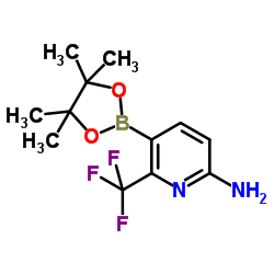 5-(4,4,5,5-Tetramethyl-[1,3,2]dioxaborolan-2-yl)-6-trifluoromethyl-pyridin-2-ylamine图片