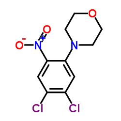 4-(4,5-Dichloro-2-nitrophenyl)morpholine Structure