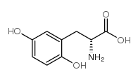 (R)-2-AMINO-3-(2,5-DIHYDROXYPHENYL)PROPANOIC ACID picture