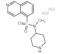 N-methyl-N-piperidin-4-ylisoquinoline-5-sulfonamide结构式