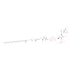 X-atrial natriuretic factor picture