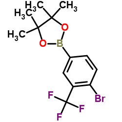 1256944-74-7 structure