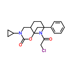 Benzyl {[1-(chloroacetyl)-3-piperidinyl]methyl}cyclopropylcarbamate结构式