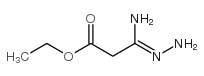 3-HYDRAZINO-3-IMINO-PROPANOIC ACID, ETHYL ESTER structure