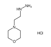 1-(2-Morpholinoethyl)hydrazine hydrochloride结构式