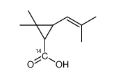 2,2-dimethyl-3-(2-methylprop-1-enyl)cyclopropane-1-carboxylic acid Structure