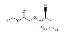 401631-70-7 structure