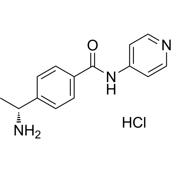 WF-536 Structure