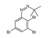 tert-butyl-(2,3,5-tribromophenyl)diazene Structure