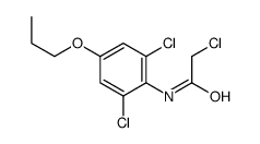 2-chloro-N-(2,6-dichloro-4-propoxyphenyl)acetamide Structure