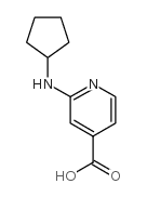 2-(Cyclopentylamino)isonicotinic acid结构式