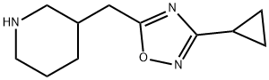 3-cyclopropyl-5-(piperidin-3-ylmethyl)-1,2,4-oxadiazole picture