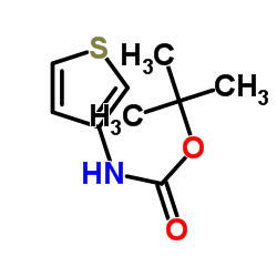 tert-Butyl 3-thienylcarbamate picture