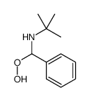 N-[hydroperoxy(phenyl)methyl]-2-methylpropan-2-amine Structure