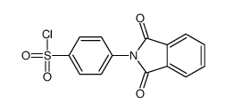 4-(1,3-dioxoisoindol-2-yl)benzenesulfonyl chloride Structure