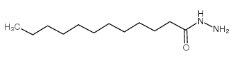 Dodecanohydrazide picture