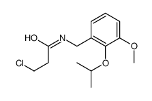 3-chloro-N-[(3-methoxy-2-propan-2-yloxyphenyl)methyl]propanamide Structure