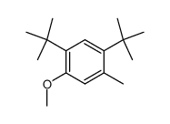 2,4-di-tert-butyl-5-methyl-anisole结构式