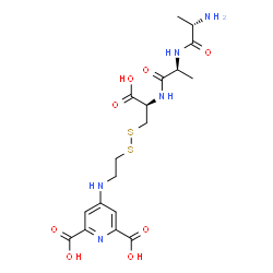 alanylalanyl-S-(4-(N-(2-thioethyl))aminopyridine-2,6-dicarboxylic acid)cysteine Structure