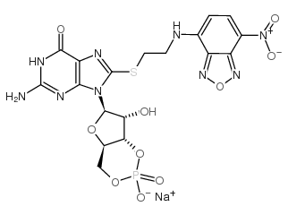 8-(2-[7-nitro-4-benzofurazanyl]aminoethylthio]guanosine-3',5'-cyclic monophosphate sodium salt picture