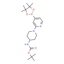 tert-butyl (1-(4-(4,4,5,5-tetramethyl-1,3,2-dioxaborolan-2-yl)pyridin-2-yl)piperidin-4-yl)carbamate结构式