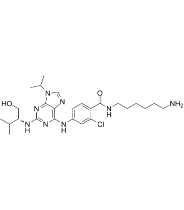 Protein kinase affinity probe 1结构式