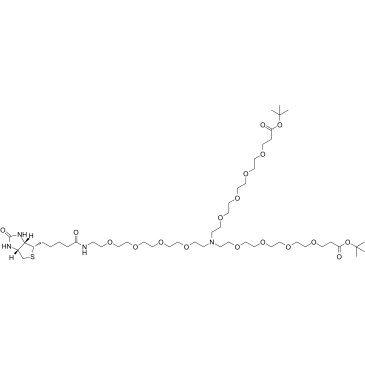 N-(Biotin-peg4)-n-bis(peg4-t-butyl ester) structure