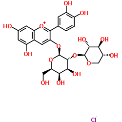 矢车菊素-3-O-半乳糖酸木糖甙氯化物结构式