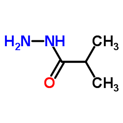 Isobutyric acid hydrazide Structure