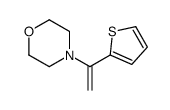 55482-81-0结构式