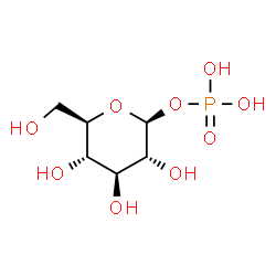 dolichol-D-glucosylmonophosphate structure