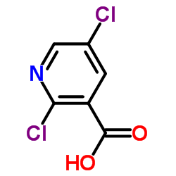 2,5-二氯烟酸图片