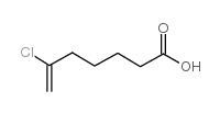 6-CHLORO-6-HEPTENOIC ACID图片