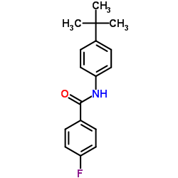 N-(4-tert-Butylphenyl)-4-fluorobenzamide picture