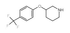 902836-91-3 structure