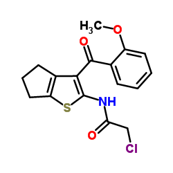 2-Chloro-N-[3-(2-methoxybenzoyl)-5,6-dihydro-4H-cyclopenta[b]thiophen-2-yl]acetamide结构式