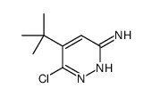 5-tert-butyl-6-chloropyridazin-3-amine picture