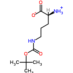 H-Orn(Boc)-OH picture