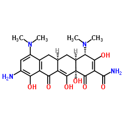 9-Animominocycline结构式