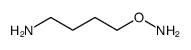 4-(氨基氧基)-1-丁酰胺结构式