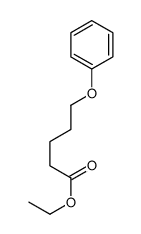 5-Phenoxypentanoic acid ethyl ester结构式