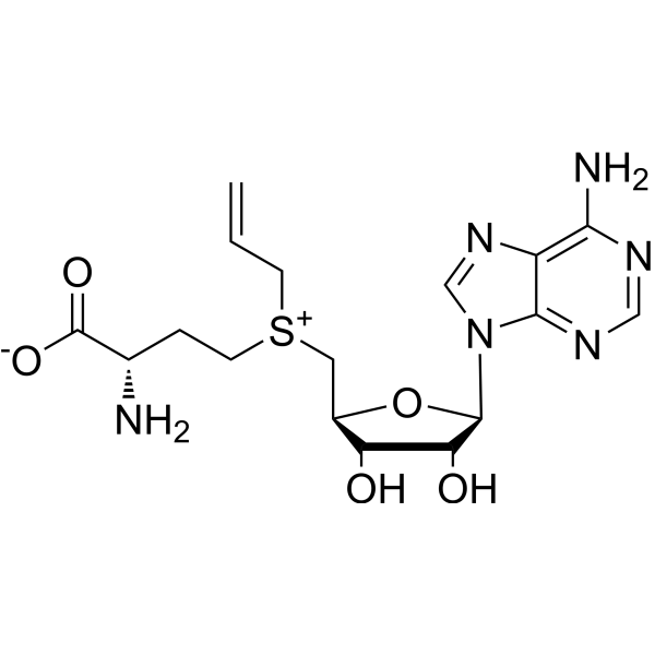 Allylic-SAM结构式