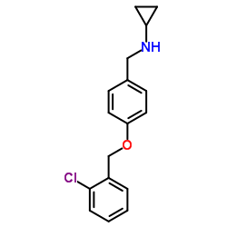 880810-59-3 structure