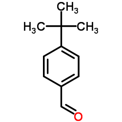 p-t-Butylbenzaldehyde Structure