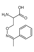 105581-11-1 structure