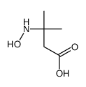 3-(hydroxyamino)-3-methylbutanoic acid Structure