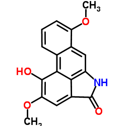 Griffithinam picture