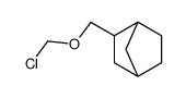 3-(chloromethoxymethyl)bicyclo[2.2.1]heptane Structure